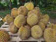 220px-Durian.jpg