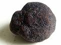 220px-Truffe_noire_du_Périgord.jpg